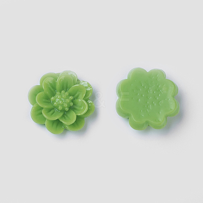 Resin Cabochon CRES-B3259-M-1