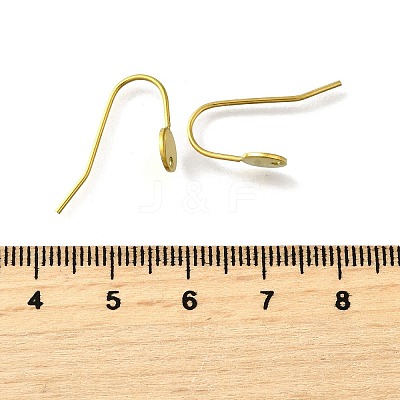 304 Stainless Steel Earring Hooks STAS-B087-09A-G-1