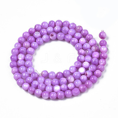 Natural Freshwater Shell Beads Strands X-SHEL-N003-24-B04-1