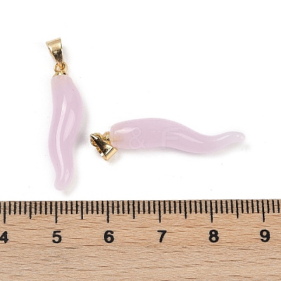 Handmade Lampwork with Brass Pendants KK-Q095-02B-M-1