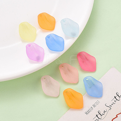 Transparent Frosted Acrylic Pendants MACR-S371-03A-1