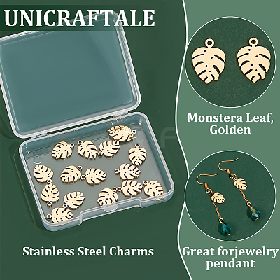 304 Stainless Steel Charms STAS-UN0020-64G-1