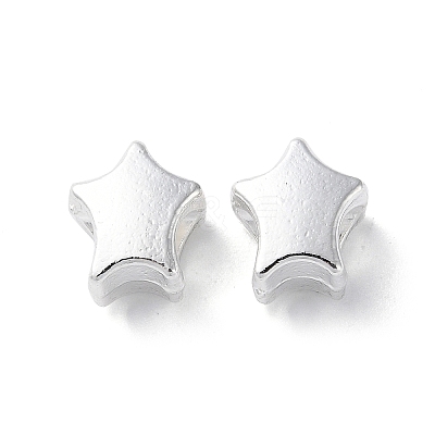 Alloy Beads PALLOY-F309-21S-1