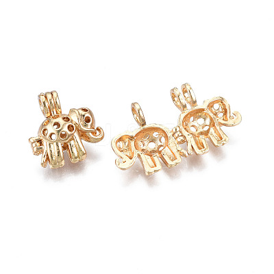 Rack Plating Alloy Locket Pendants PALLOY-N158-012G-1