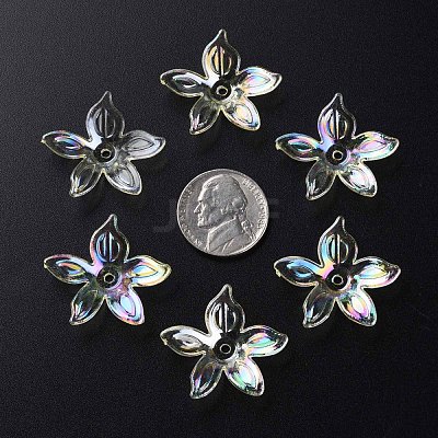 Transparent Acrylic Beads MACR-S373-102-C06-1
