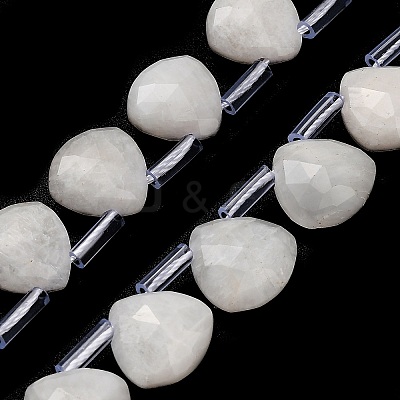 Natural Rainbow Moonstone Beads Strands G-C292-A01-01-1
