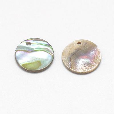 Paua Shell Charms SSHEL-R041-37-1