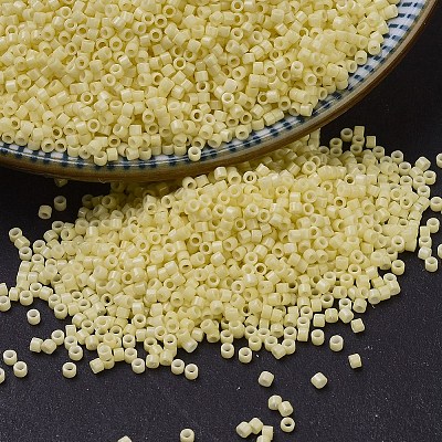 MIYUKI Delica Beads X-SEED-J020-DB2101-1