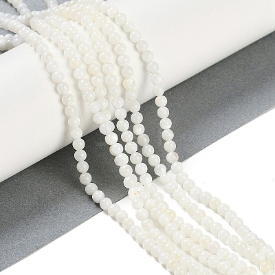 Natural Cultured Freshwater Shell Beads Strands BSHE-H109-03B-1