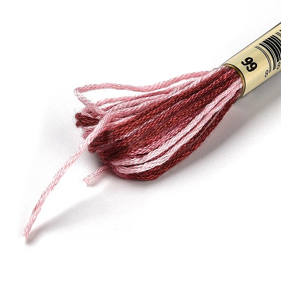 10 Skeins 6-Ply Polyester Embroidery Floss OCOR-K006-A60-1