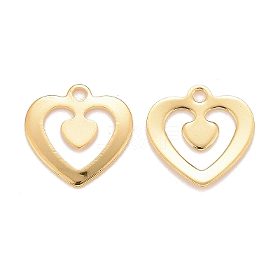 201 Stainless Steel Charms LS-STAS-K217-75G-1
