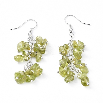 Dangle Earrings EJEW-E255-A11-1