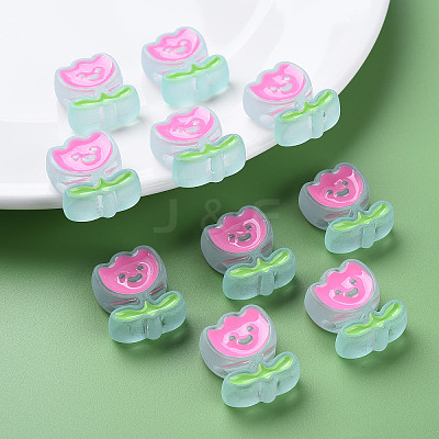 Transparent Acrylic Beads MACR-S374-03B-05-1