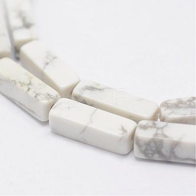 Natural Howlite Beads Strands G-E342-15-1