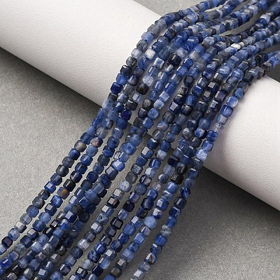 Natural Sodalite Beads Strands G-B142-C02-2x2mm-1