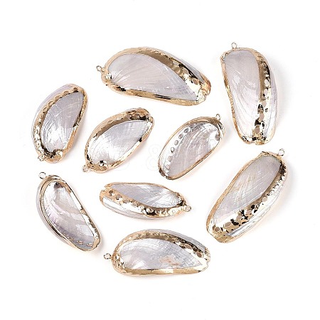 Electroplate Natural Sea Shell Big Pendants SSHEL-T018-18-1