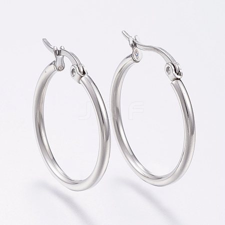 Tarnish Resistant 304 Stainless Steel Hoop Earrings X-EJEW-F105-09P-1