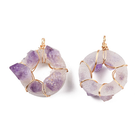 Natural Amethyst Pendants G-T040-01G-1