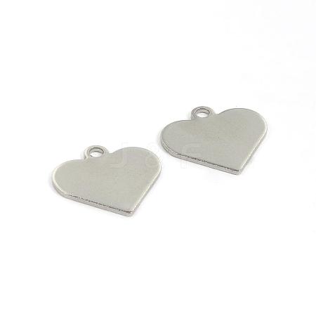 304 Stainless Steel Charms STAS-D431-27-1