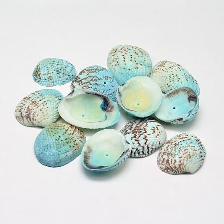 Dyed Natural Shell Beads BSHE-O007-54A-1