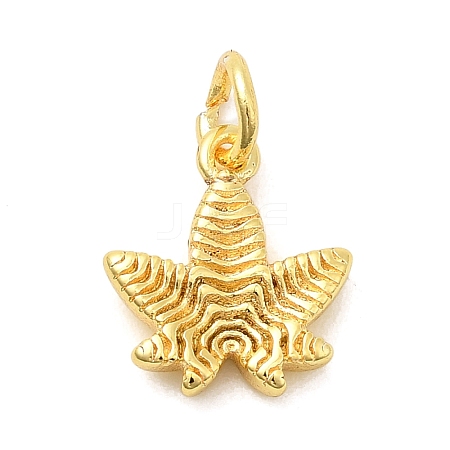 Brass Charms KK-C139-31C-G-1