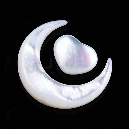 Natural White Shell Beads Sets SSHEL-N032-52B-02-1
