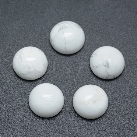 Natural Howlite Cabochons X-G-P393-R32-10mm-1