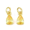Brass Pave Cubic Zirconia Charms KK-K340-51G-05-1