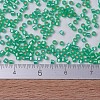 MIYUKI Delica Beads X-SEED-J020-DB0691-4