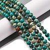 Dyed Natural Regalite/Imperial Jasper/Sea Sediment Jasper Beads Strands X-G-B124-C02-13-2