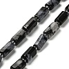 Natural Snowflake Obsidian Beads Strands G-K245-I14-01-1