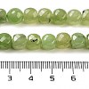 Natural Prehnite Beads Strands G-H028-A05-01-5