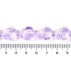 Transparent Glass Enamel Beads Strands GLAA-B021-06B-4