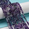 Natural Fluorite Beads Strands X-G-K315-B01-01-1