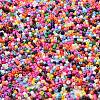 Baking Paint Glass Seed Beads X-SEED-S042-05B-48-3