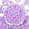 Opaque Colours Luster Glass Seed Beads SEED-P008-01C-06-3