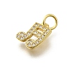 Brass Micro Pave Cubic Zirconia Charms KK-P295-50G-2