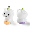 Opaque Resin Cartoon Pendants CRES-Z004-04-3