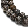 Natural Astroite Jasper Beads Strands G-F814-A01-8mm-4