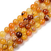 Natural Sardonyx Beads Strands G-S369-002C-B02-1