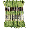 10 Skeins 6-Ply Polyester Embroidery Floss OCOR-CY0004-38K-1