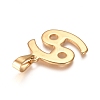 304 Stainless Steel Pendants STAS-L210-06H-G-2