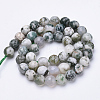 Natural Tree Agate Beads Strands G-S281-15-10mm-2