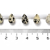 Natural Dalmatian Jasper Beads Strands G-Q167-A20-02-4