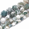 Natural Tree Agate Beads Strands G-S332-10mm-010-2