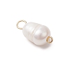 Natural Freshwater Pearl Rice Connector Charms PALLOY-JF03395-4
