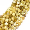 Natural Yellow Opal Beads Strands G-O201B-96-1