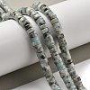 Natural Larimar Beads Strands G-Q024-B03-03-2