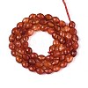 Natural Carnelian Beads Strands G-T142-84-2