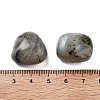 Natural Labradorite Beads G-O029-08R-3